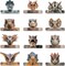 24 Pieces Dinosaur Party Hats Dinosaur Headbands Paper Crowns for Kids Party Favors Dinosaur Birthday Party Supplies
